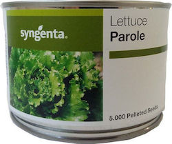 Syngenta Seeds Lettuce 5000pcs