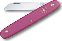 Victorinox 3905053B1 Budding Knife Ροζ