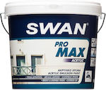 Swan Pro Max Acrylic Plastic Acrilyc Paint for Exterior Use White 9lt