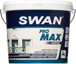 Swan Pro Max Acrylic Πλαστικό Χρώμα για Εξωτερική Χρήση Μαύρο 9lt