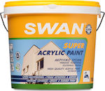 Swan Super Acrylic Plastic Acrilyc Paint for Exterior Use White 750ml