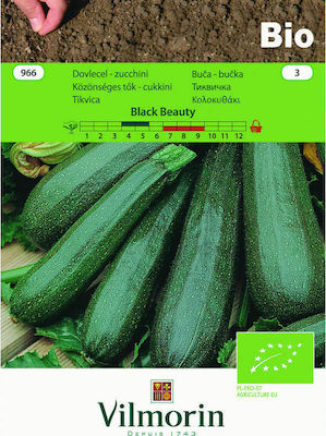 Vilmorin Seeds Pumpkinς Zucchini Organic Cultivation