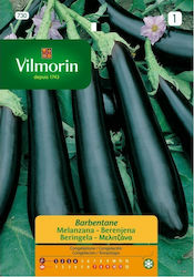 Vilmorin Seeds Aubergine