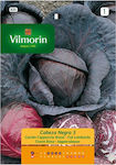 Vilmorin Seeds Cabbage