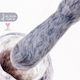 Alezori Fluff Halb-permanenter Nagellack 36 15m...