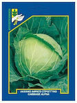 Γενική Φυτοτεχνική Αθηνών Seeds Cabbage