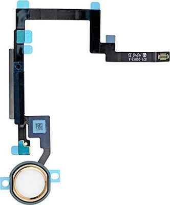 Flex Cable Replacement Part (iPad mini 3)