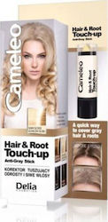Delia Cosmetics Cameleo Hair And Rout Touch Up Sunny Blonde