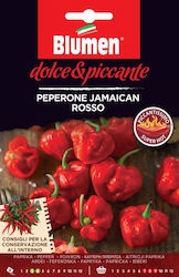 Blumen Seeds Peppers Jamaican Rosso