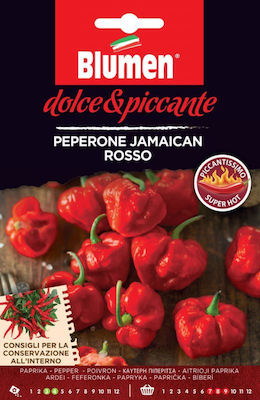 Blumen Πιπεριά Jamaican Rosso