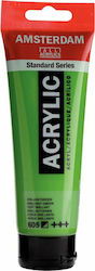 Royal Talens Amsterdam All Acrylics Standard Ac...