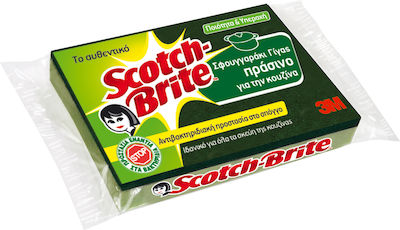 Scotch Brite Classic Спондж Плочи Голям Зелен