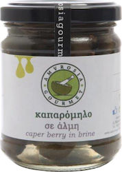 Amvrosia Gourmet Kapern Καπαρόμηλο σε Άλμη 1Stück