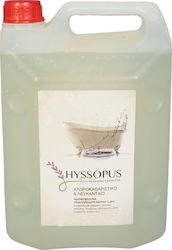 Hyssopus Επαγγελματική Χλωρίνη σε Υγρή Μορφή 4lt Hyssopus Επαγγελματική Χλωρίνη σε Υγρή Μορφή 4lt