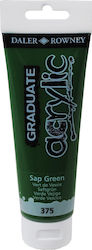 Daler Rowney Graduate Acrylic Σετ Daler Rowney Graduate Acrylic Σετ