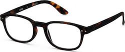 Izipizi B Reading Glasses +2.50 in Brown color