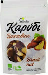 Όλα Bio Organic Brazilian Nuts Raw Unsalted 100gr ΒΙΟ165
