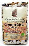 Viodoros Gaia Beans Legume mix Organic 500gr