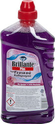 Brillante Plus Pfingstrosen 1x1l Brillante Plus Pfingstrosen 1x1l