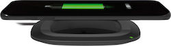 Platinet PLCWCQ2 Wireless Qi Platinet PLCWCQ2 Wireless Qi