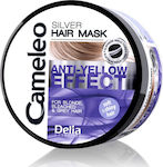 Delia Cosmetics Cameleo Silver Hair Mask 200ml