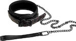 Dream Toys Blaze Collar & Leash