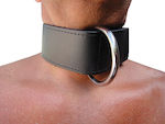 Kiotos Collar Leather Velcro