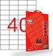 Typotrust 1000 Self-Adhesive Rectangular A4 Labels 52.5x29.7mm