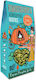 BDL Organic & Healthy Food Organic Pumpkin Seeds Raw Unsalted 200gr