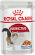 Royal Canin Instinctive Wet Food for Adult Cat in Pouch 12x85gr 2606010