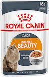 Royal Canin Intense Beauty Hrana umeda pentru pisici adulte in Pungă cu bucatele in gelatina Jelee 85gr 1buc