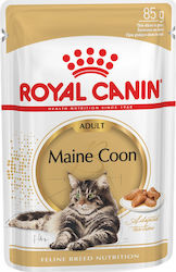 Royal Canin Maine Coon 12x85gr