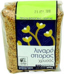 Biofresco Βιολογικός Λιναρόσπορος Χρυσός 250gr