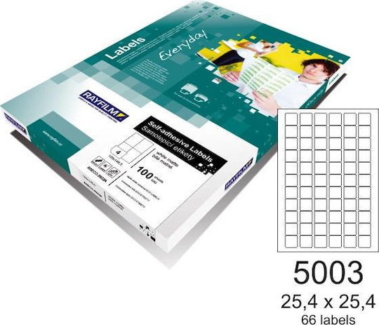 Rayfilm 6600 Αυτοκόλλητες Ετικέτες Α4 Τετράγωνες Everyday 25.4x25.4mm