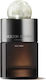 Molton Brown Milk Musk Eau de Parfum 100ml