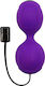 Adrien Lastic Kegel Vibe Purple