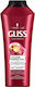 Gliss Kur Ultimate Color Sampon De Par Păstrarea Culorii Și Strălucire Pentru Păr Vopsit 250ml