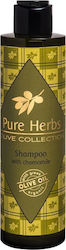 Pure Herbs Шампоан срещу Сърбеж Възстановяване И Подхранване 200мл