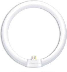 Aca Fluorescent Lamp for Socket G10Q with Shape T9 40W