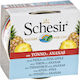 Schesir Nature for Cat Wet Food for Adult Cats ...