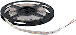 Elmark LED Strip 12V 1m Inspired SMD5050