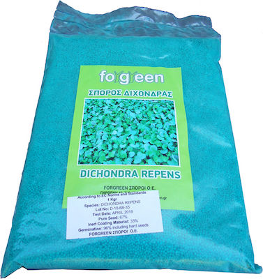 Dichondra Seed (Clover). Warm-season grass species that does not require mowing, with high shade tolerance and low wear resistance. 15 grams per square meter. Packaging: 1 Kg.