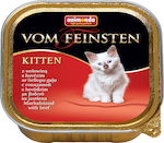 Animonda Kitten Nasses Katzenfutter für Katze in Tablett mit Rindfleisch 100gr