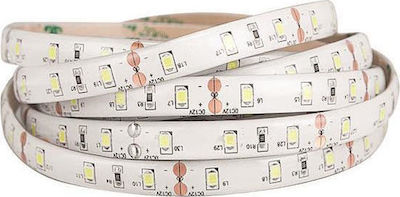 Eurolamp Bandă LED Alimentare 12V cu Lumină Alb Rece Lungime 5m și 60 LED-uri pe Metru SMD2835