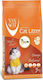 Van Cat Super Premium Bentonite Cat Litter Fine-Grained with Scent Orange 5kg