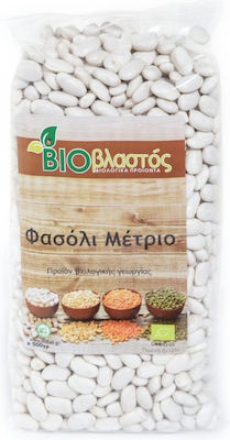 Βιοβλαστός Φασόλια Μέτρια Bio 500gr