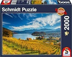 Vineyards In Autumn Puzzle 2D 2000 Pieces