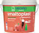 Vechro Concrete Paint Acrilyc Smaltoplast Ceramides 10lt
