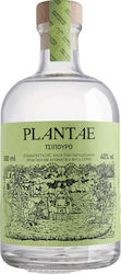Αποσταγματοποιία Σύρου Μακρυωνίτης Plantae Τσίπουρο 500ml