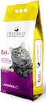 Olysand Clumping Odour Control Cat Litter Lavender 5kg